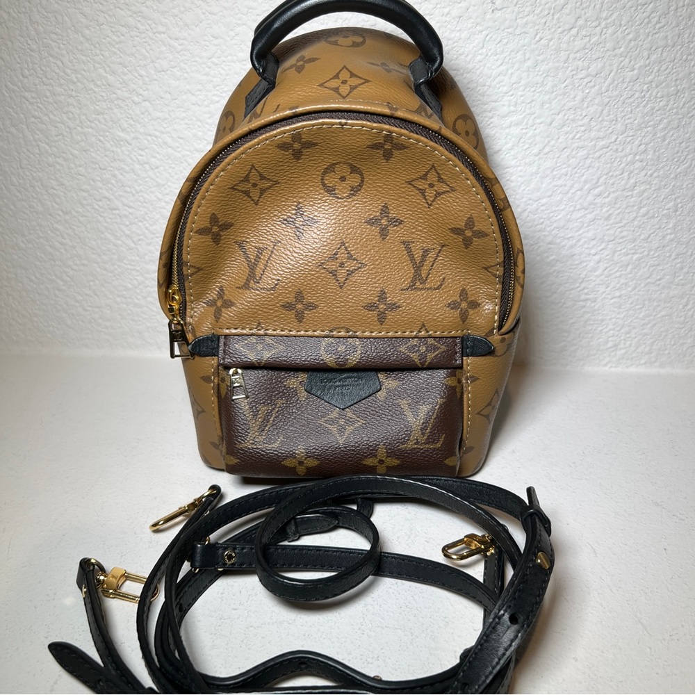 Louis Vuitton Palm Springs Mini